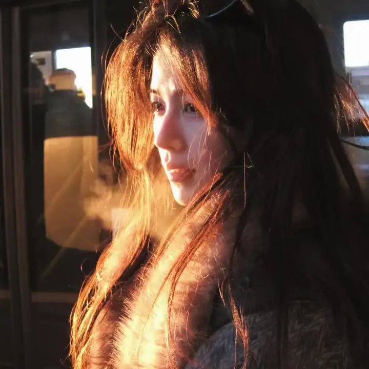 超级情报员麦汉4